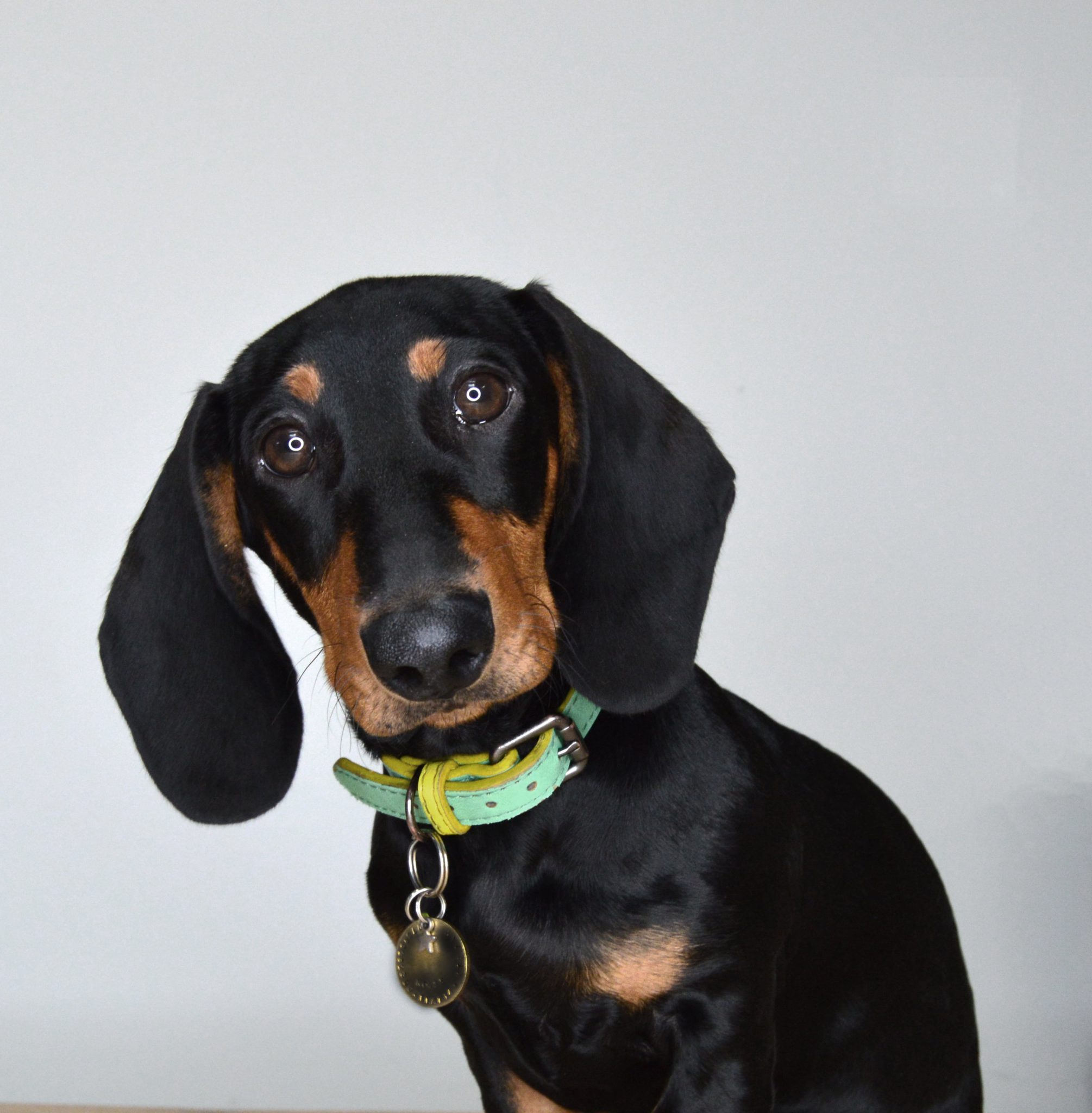 Curated visual reference: Fresh Look at Earl Grey Office Manager